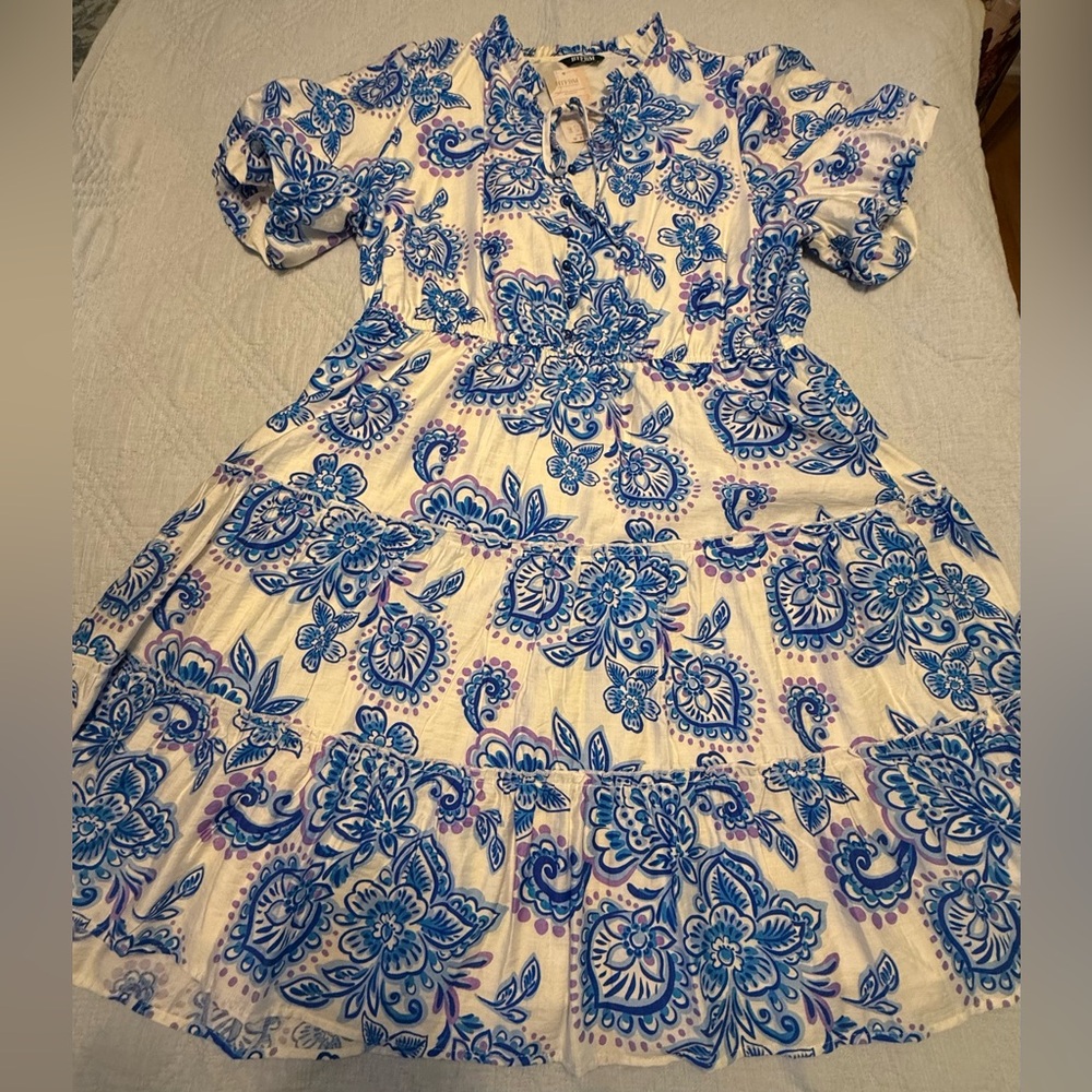 NWT Blue and White Floral Dress